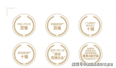 A4：项目目前推出